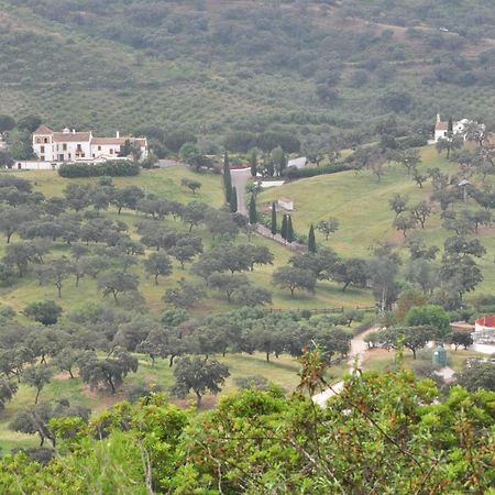 Вилла La Rejaquera Villanueva del Rio y Minas Экстерьер фото