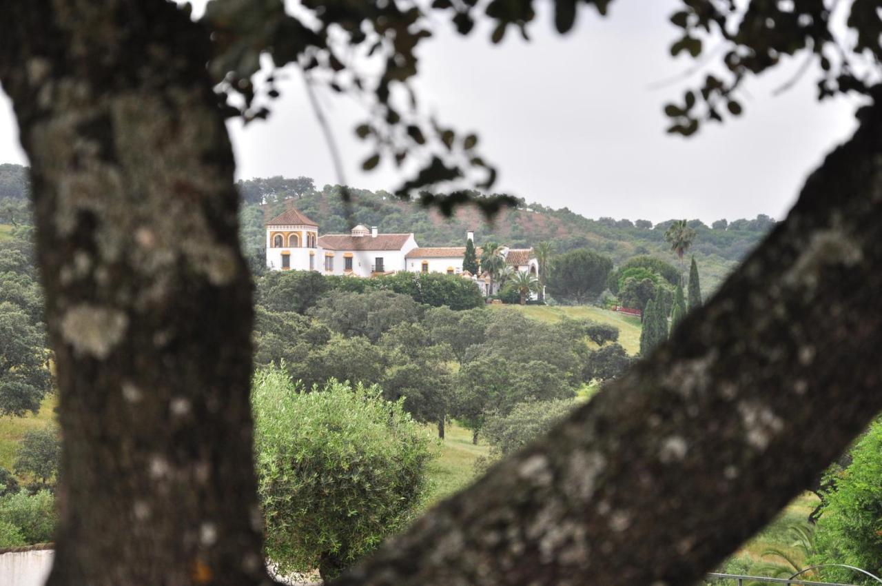 Вилла La Rejaquera Villanueva del Rio y Minas Экстерьер фото