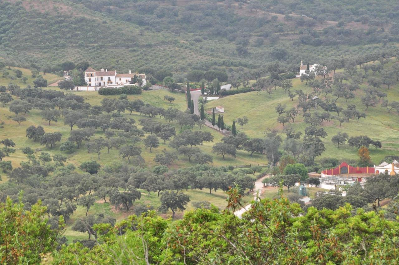 Вилла La Rejaquera Villanueva del Rio y Minas Экстерьер фото